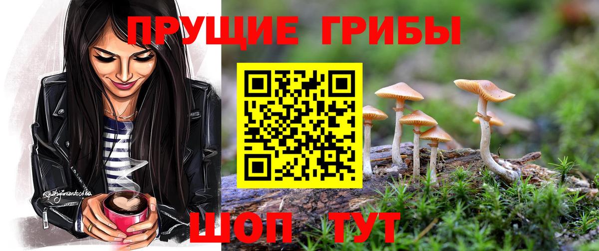 Псилоцибиновые грибы GOLDEN TEACHER Волхов